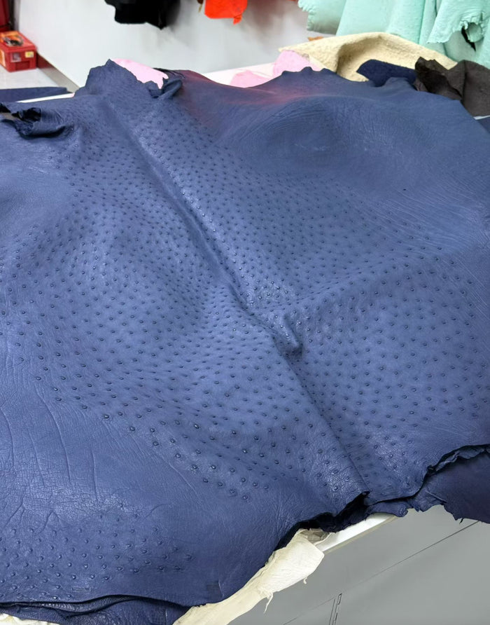 Navy blue ostrich skin