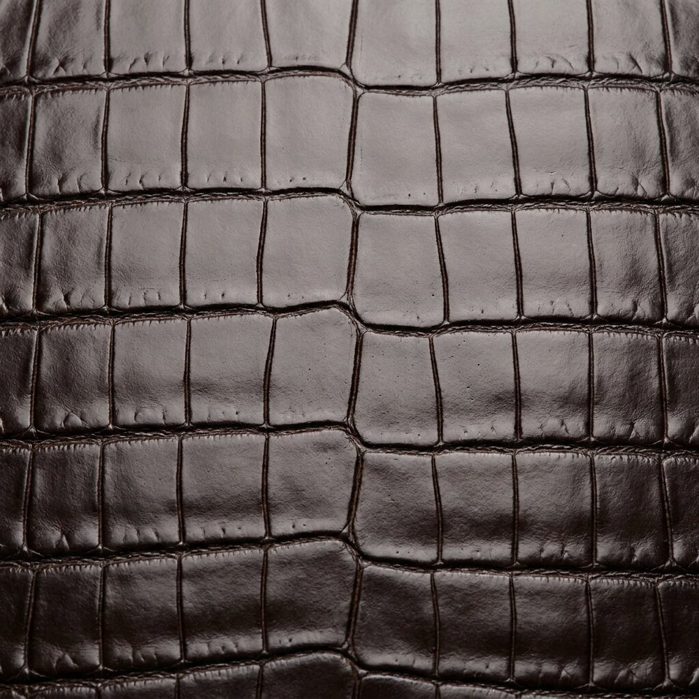 Crocodile and alligator